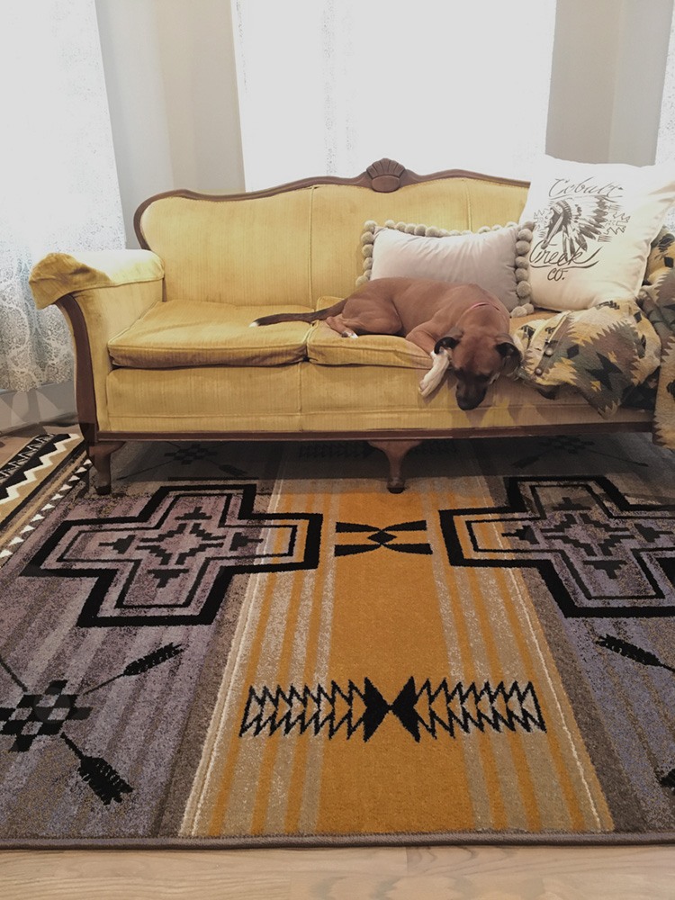 Western Rugs with Leopard Print